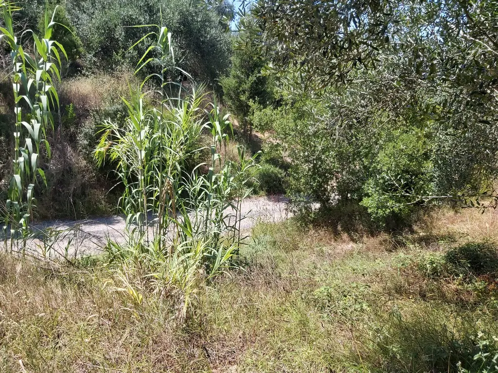 Land Of 4800 M² In Corfu