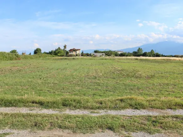Land Of 2000 M² On The Olympic Coast