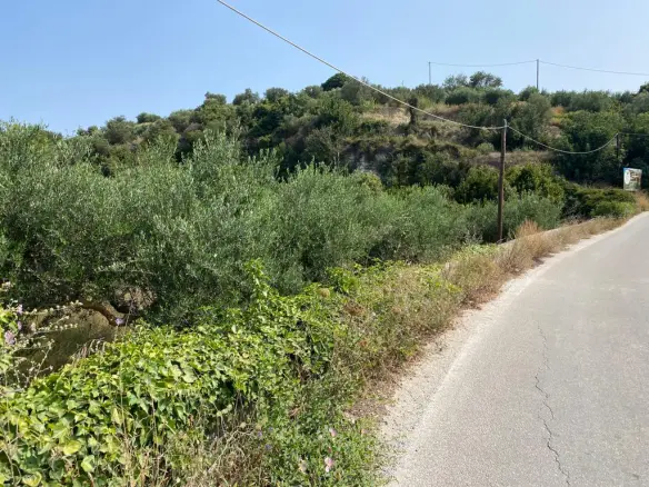 Land In Vamos, Greece