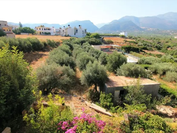 Land Of 3000 M² In Crete