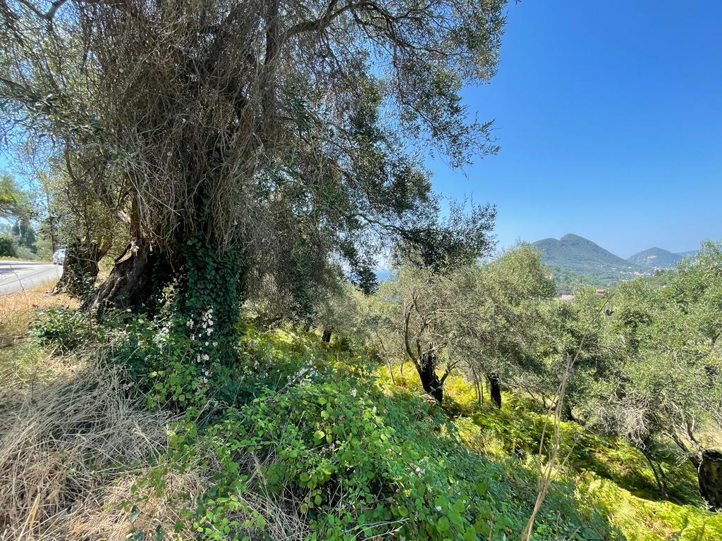 For Sale Land 1202 M² In Corfu