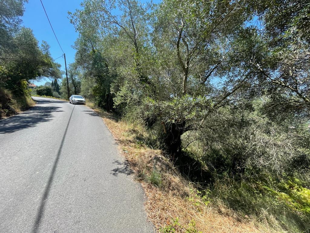 For Sale Land 1202 M² In Corfu