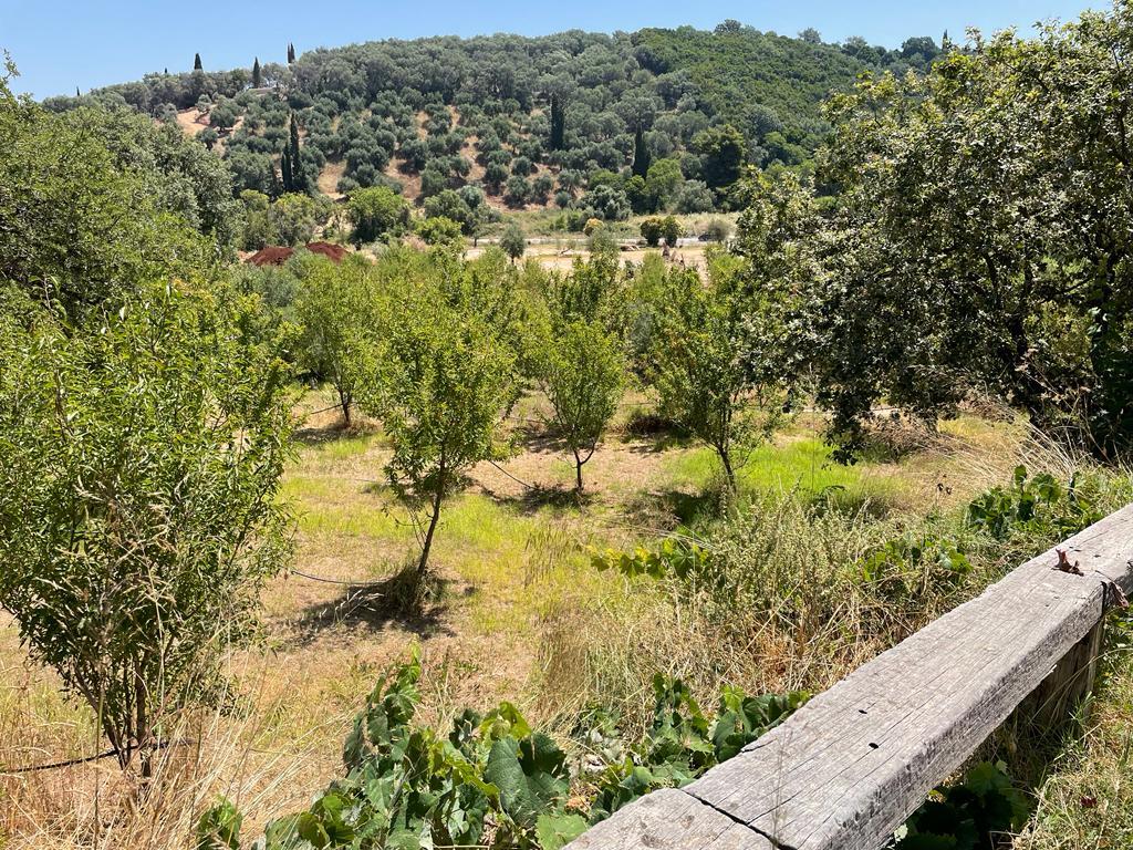 Land Of 26159 M² In Corfu