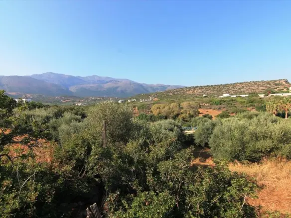 Land In Vrachasi, Greece