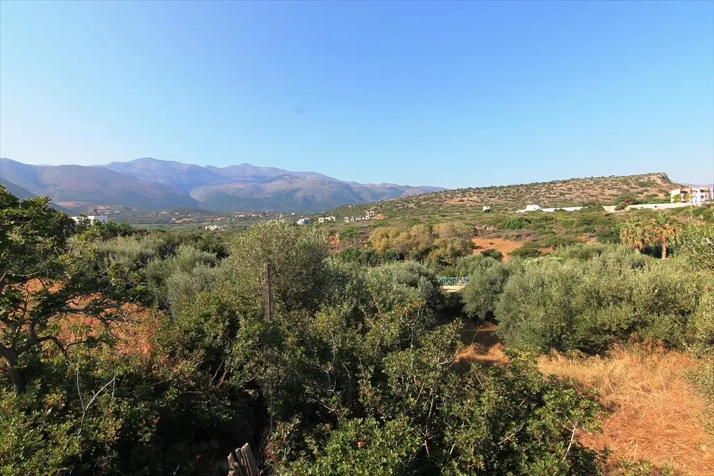 Land Of 3000 M² In Crete