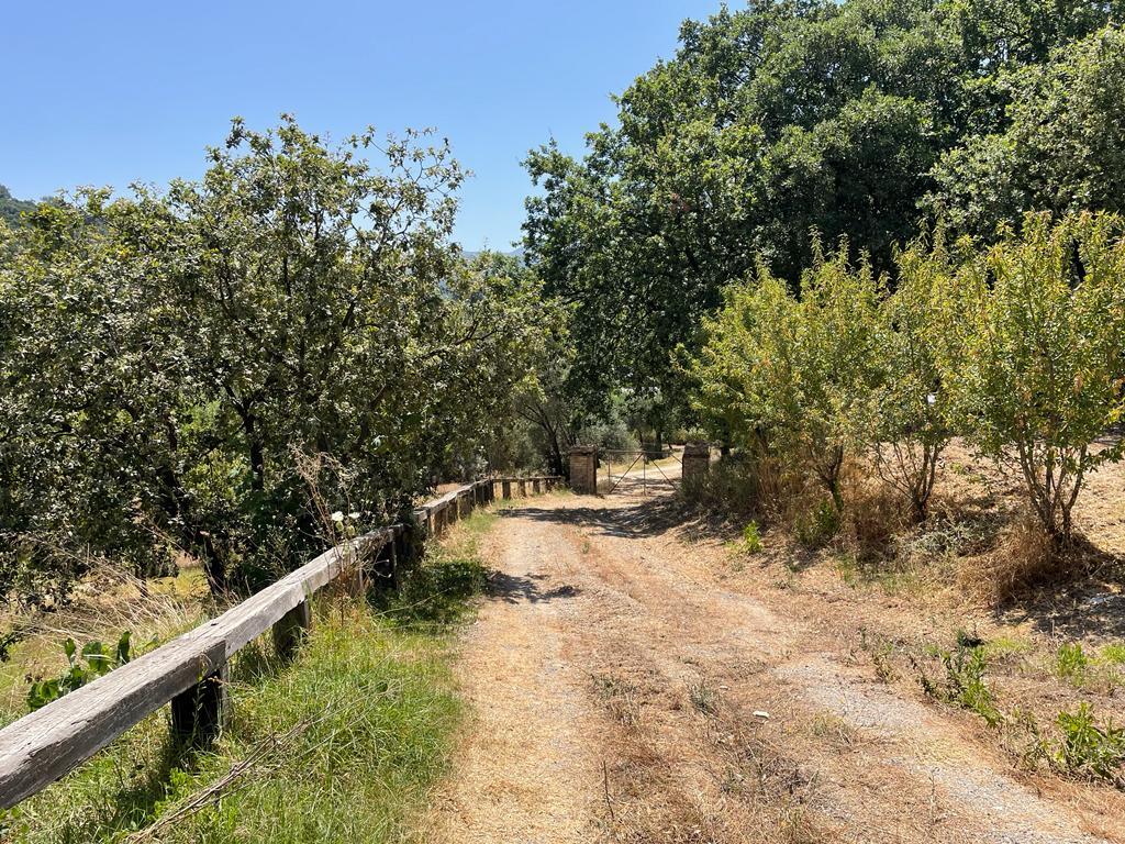 Land Of 26159 M² In Corfu