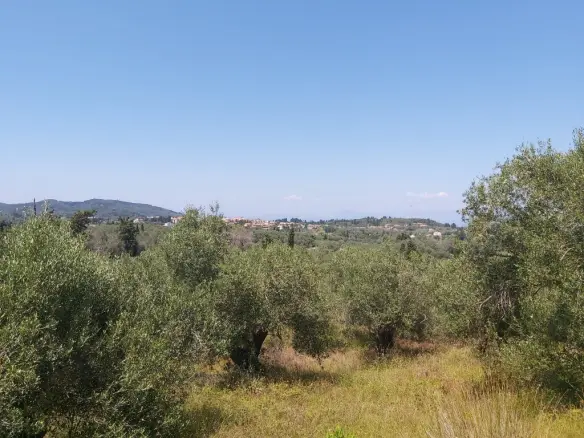 Land Of 4800 M² In Corfu