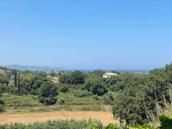 Land Of 26159 M² In Corfu