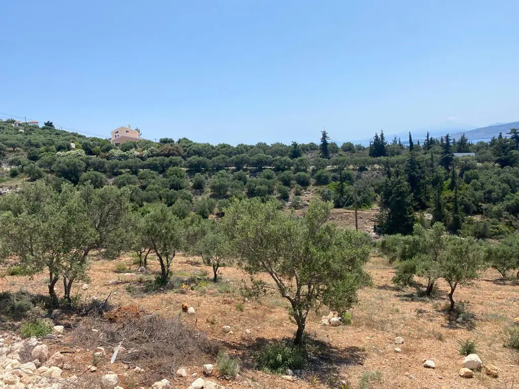 Land Of 6800 M² In Crete