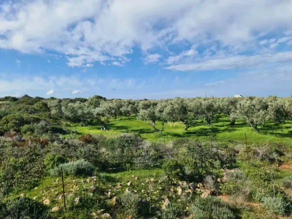 Land In Pelekanos, Greece