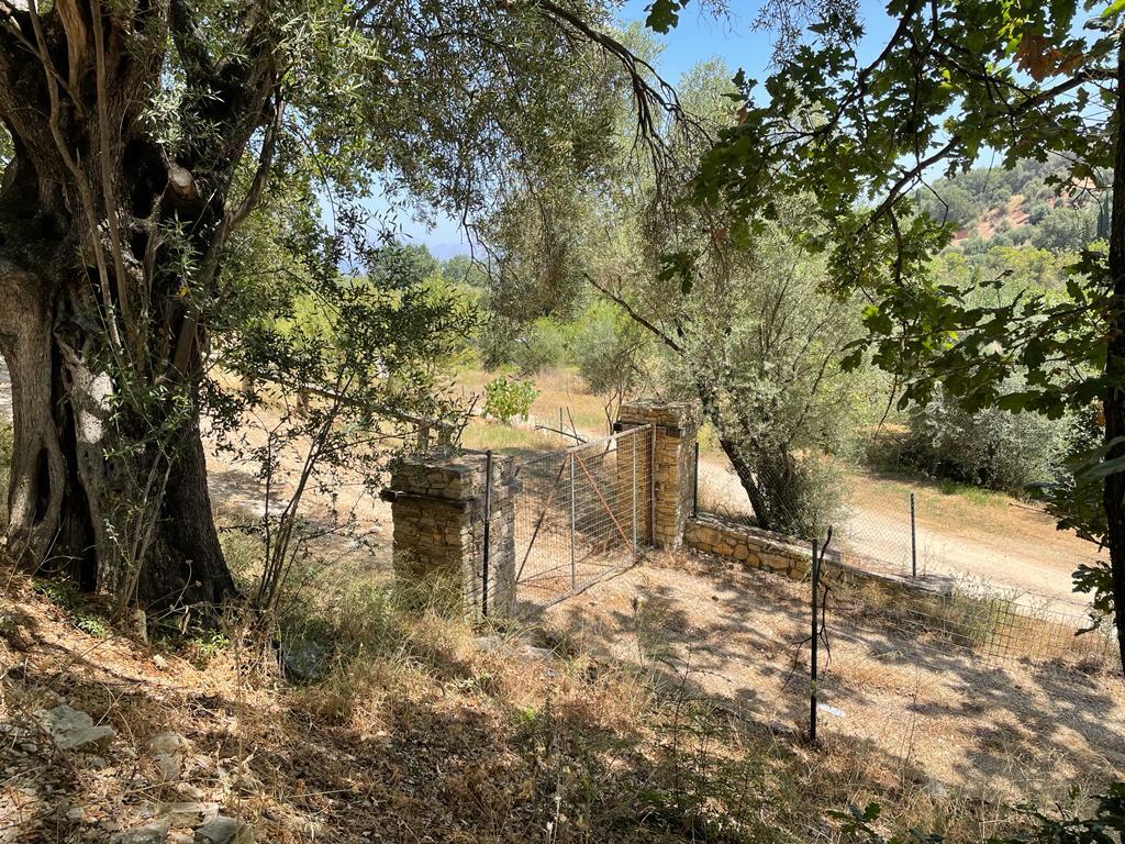 Land Of 26159 M² In Corfu