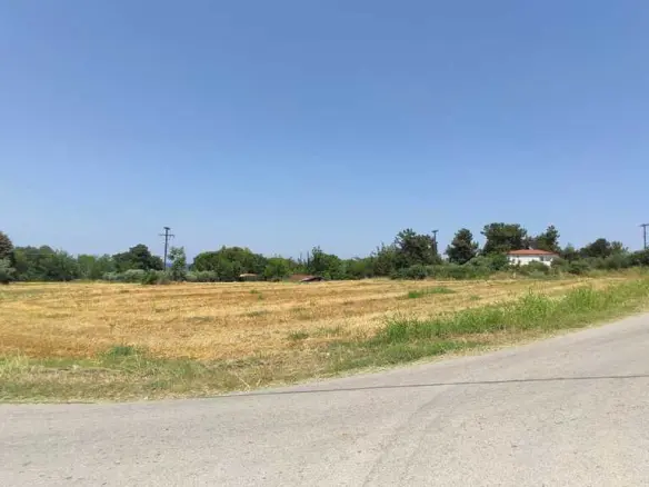 Land In Pidna, Greece