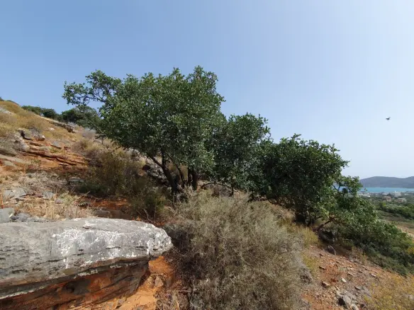 Land In Elounda, Greece