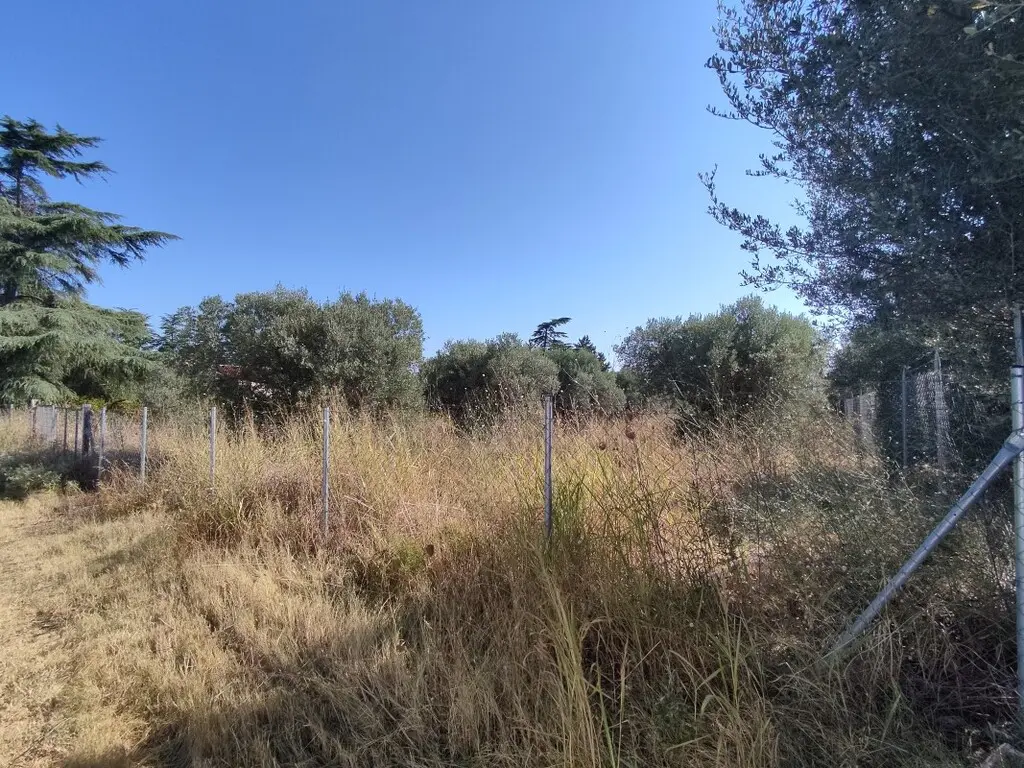 For Sale Land 1561 M² In The Suburbs Of Thessaloniki