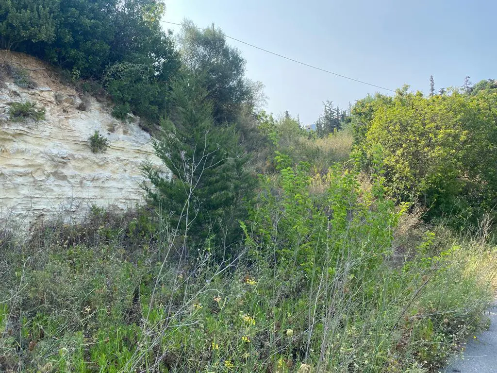 Land Of 3215 M² In Crete