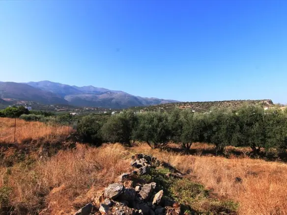 Land In Vrachasi, Greece
