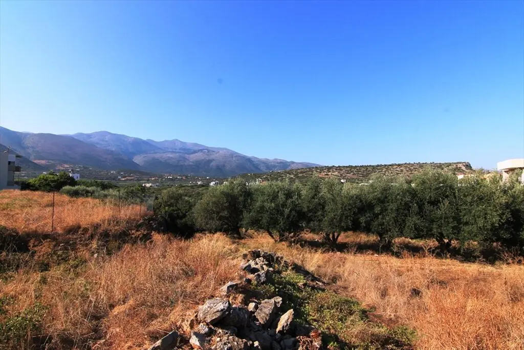 Land Of 3000 M² In Crete