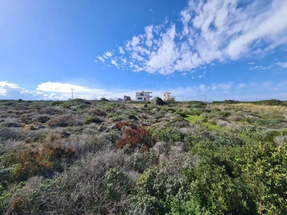 Land Of 8131 M² In Crete