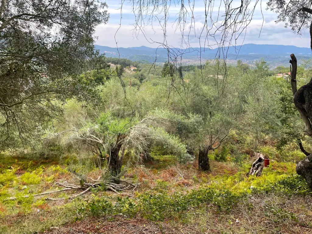 For Sale Land 1202 M² In Corfu