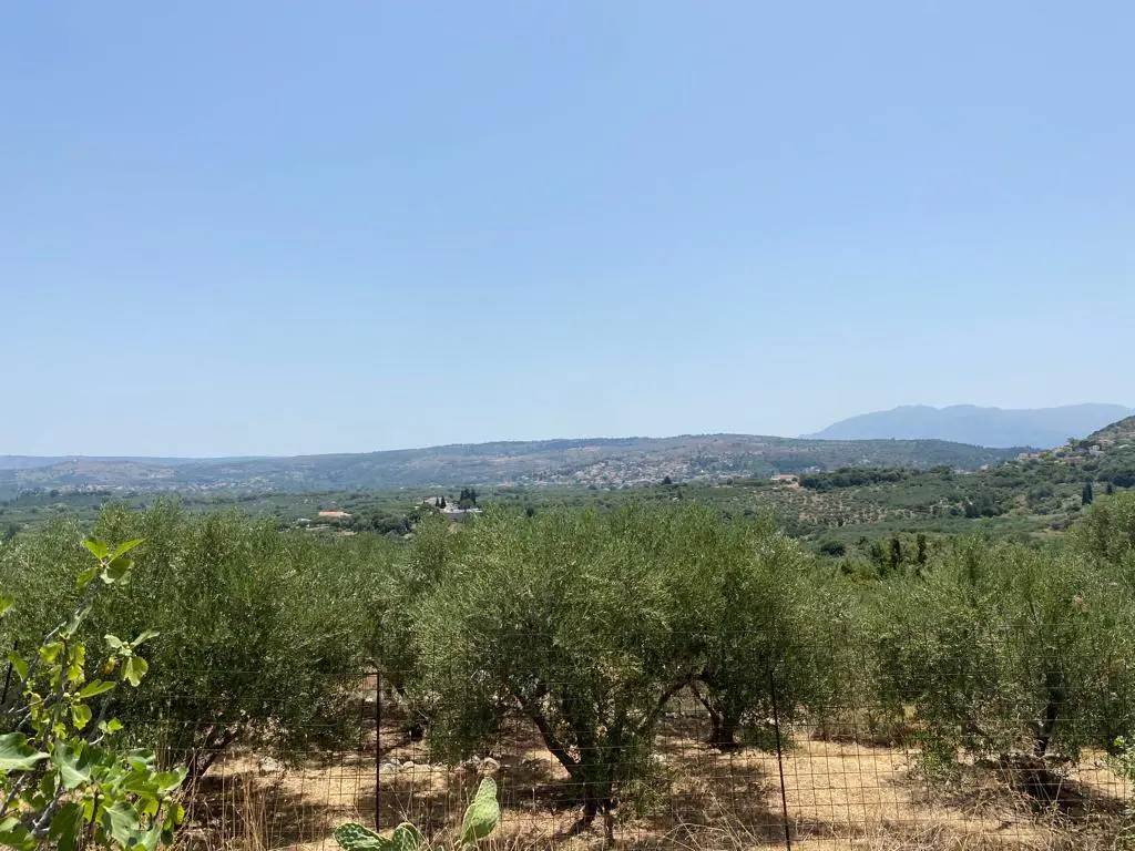 Land Of 5335 M² In Crete