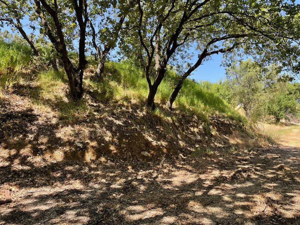 Land Of 26159 M² In Corfu