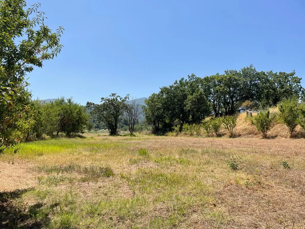 Land Of 26159 M² In Corfu
