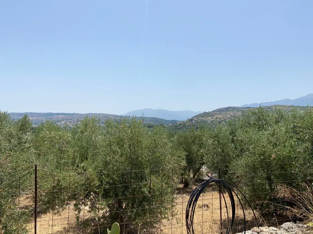Land Of 5335 M² In Crete