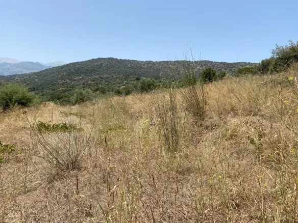 Land Of 5335 M² In Crete