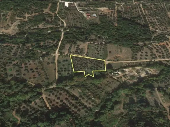 Land Of 4848 M² On The Island Of Thassos