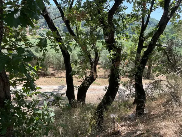 Land In Corfu, Greece