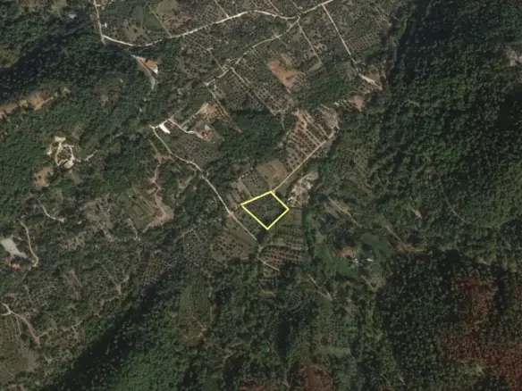 Land In Thasos, Greece