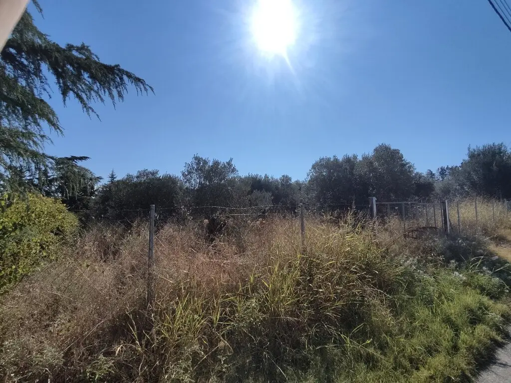 For Sale Land 1561 M² In The Suburbs Of Thessaloniki