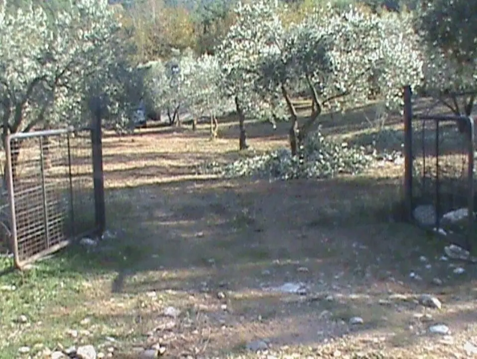 Land Of 4848 M² On The Island Of Thassos