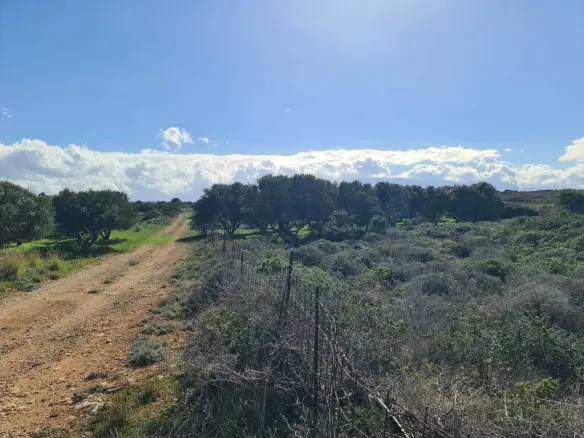 Land In Pelekanos, Greece