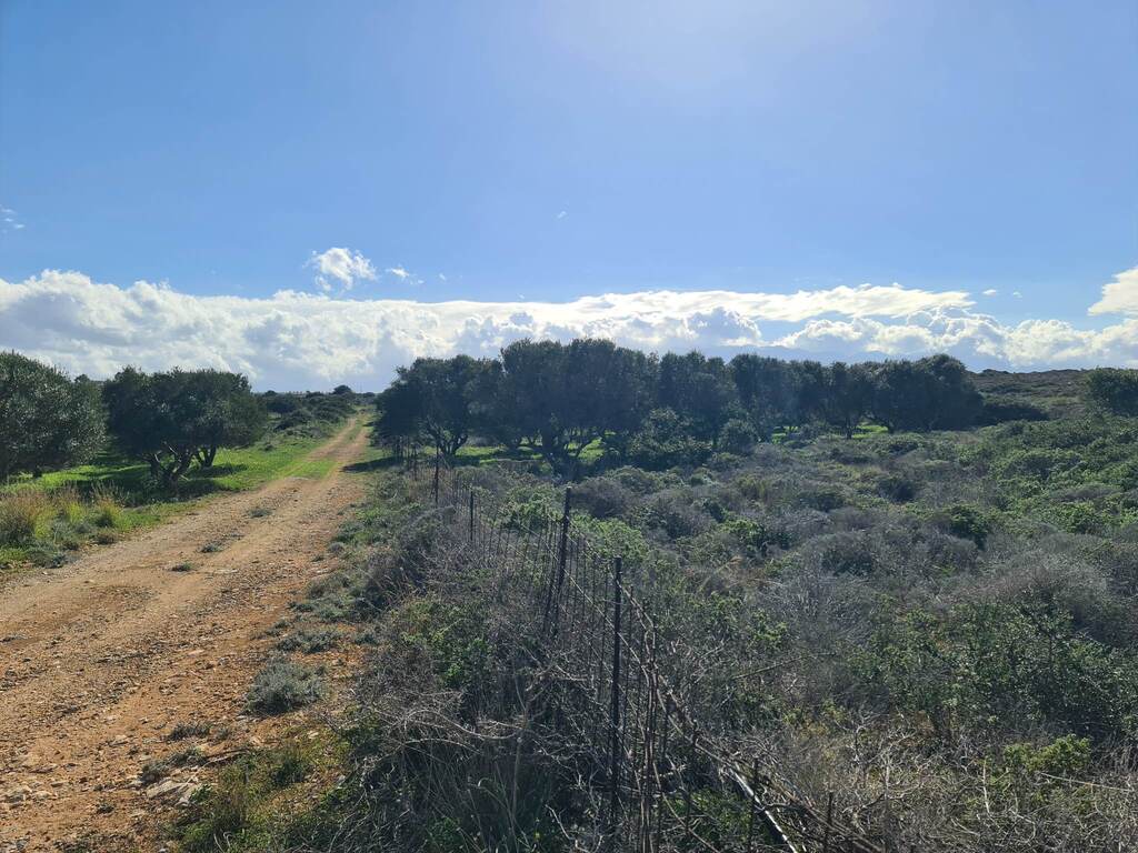 Land Of 24000 M² In Crete