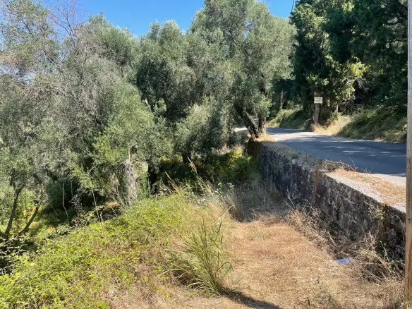 Land In Corfu, Greece