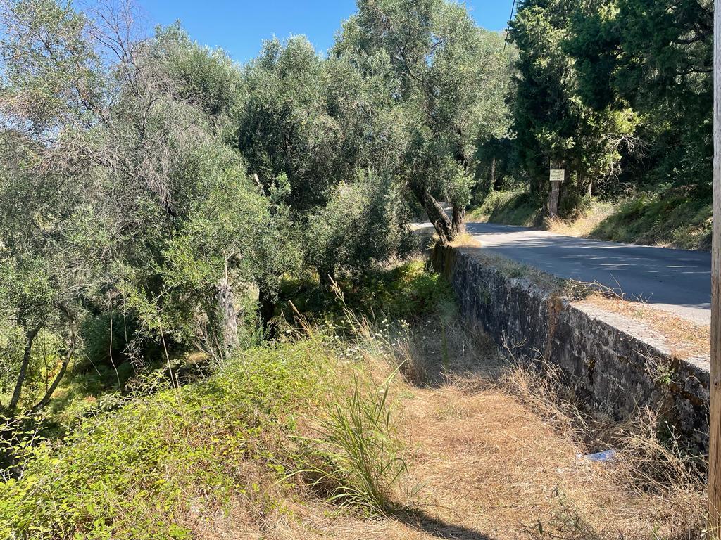 For Sale Land 1202 M² In Corfu