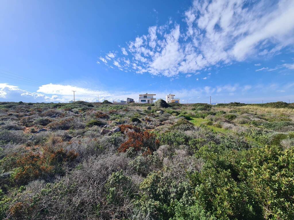 Land Of 24000 M² In Crete