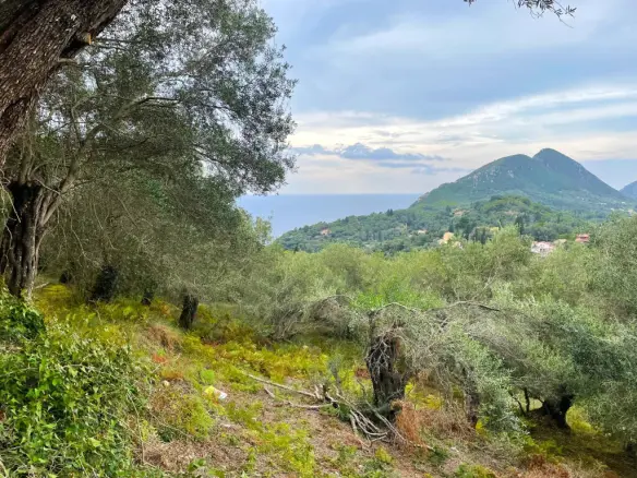 Land Of 1202 M² In Corfu