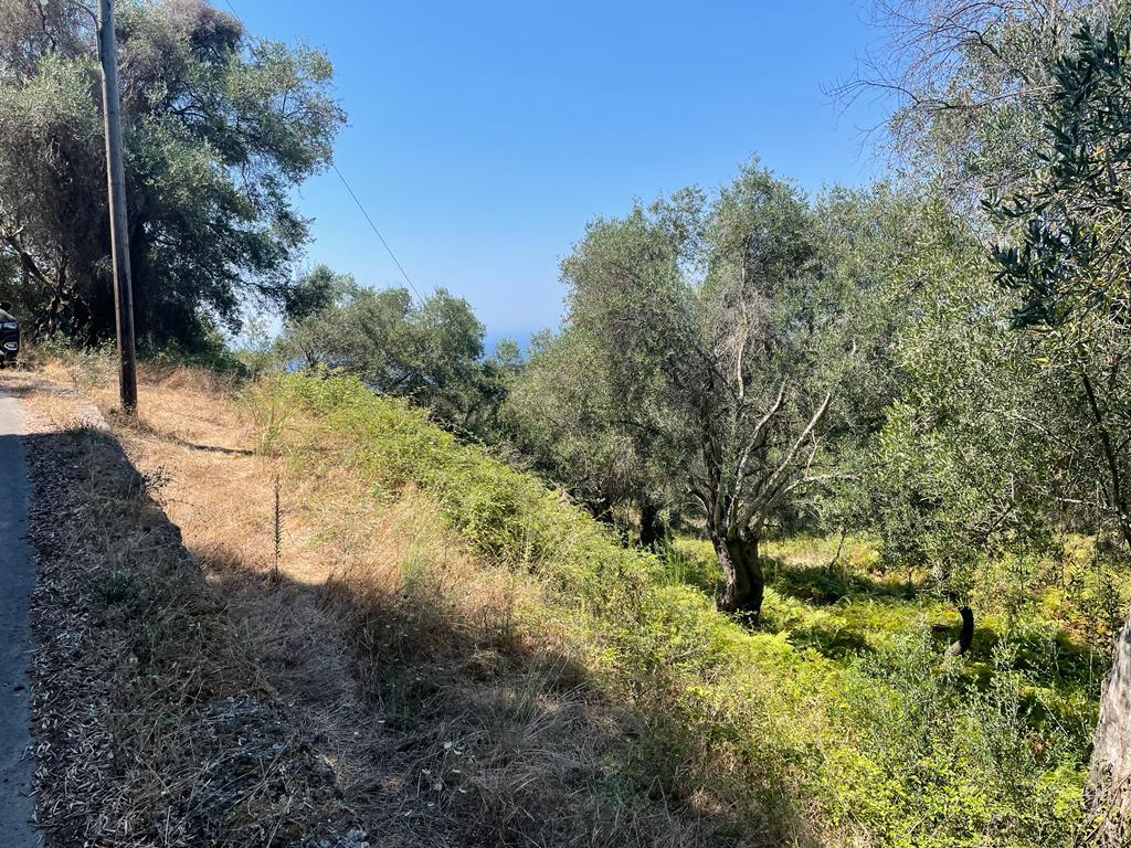 For Sale Land 1202 M² In Corfu
