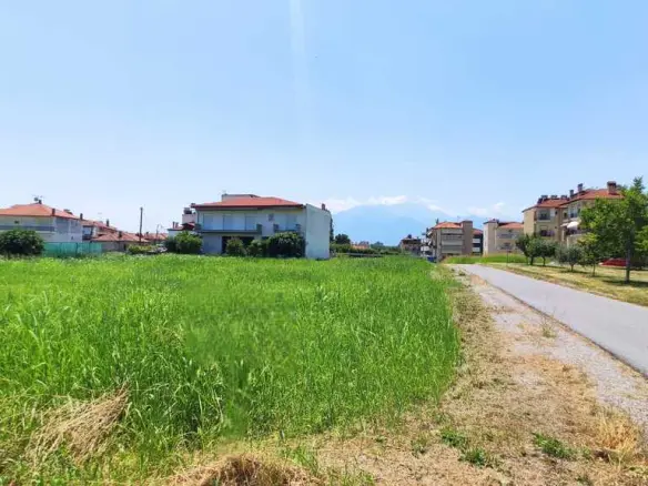 Land In Katerini, Greece