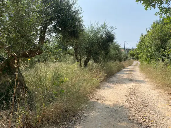 Land Of 3092 M² In Crete