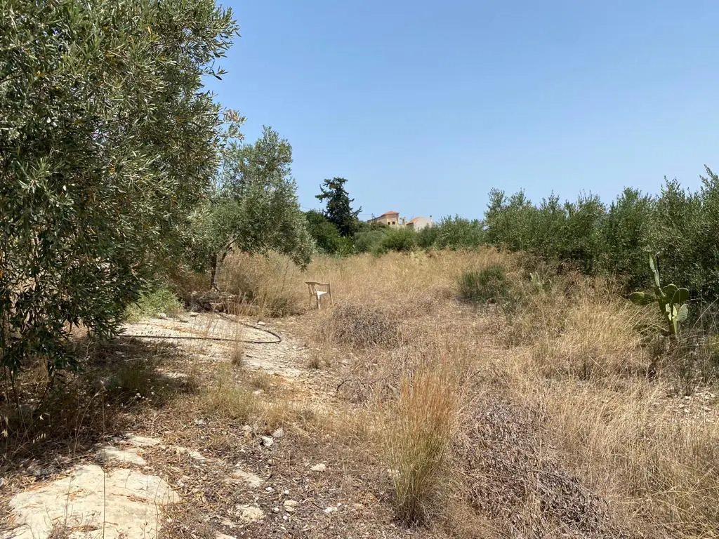 Land Of 5335 M² In Crete