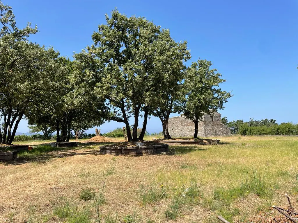 Land Of 26159 M² In Corfu