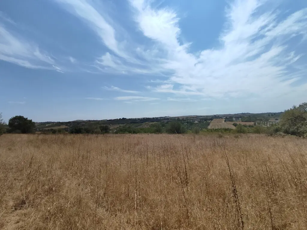 Land Of 4800 M² In The Suburbs Of Thessaloniki