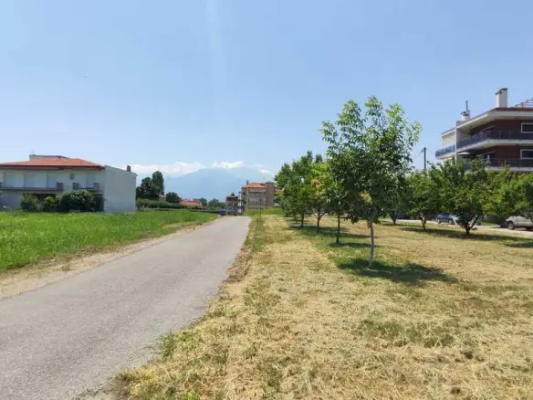 Land In Katerini, Greece