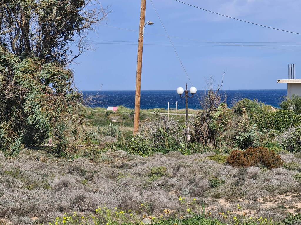 Land Of 24000 M² In Crete