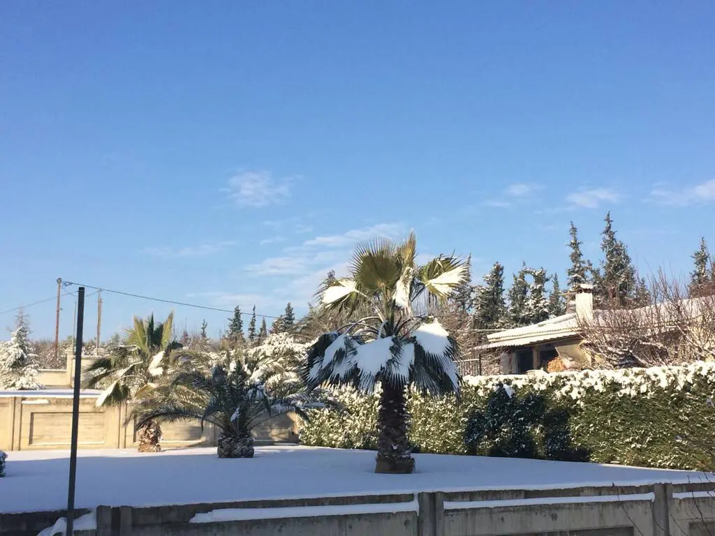 Villa Of 930 M² In The Suburbs Of Thessaloniki