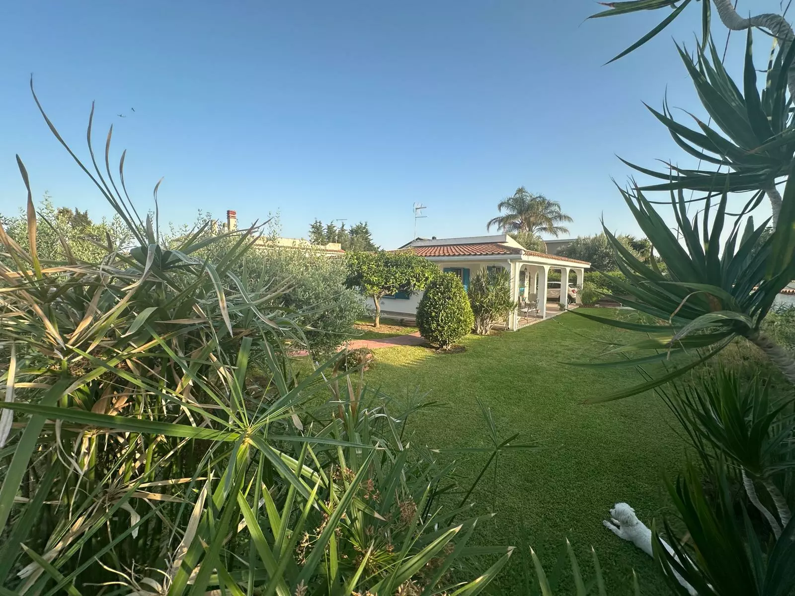 Apartment Of 89 M² In Arenella