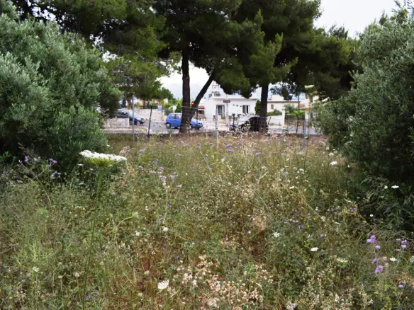 Land In Chania, Greece